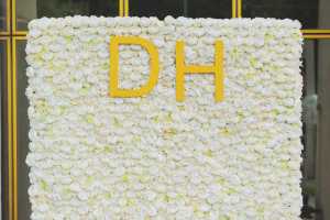DSC_DHHelia19.06.05._0031